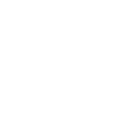 ミュージックビデオ