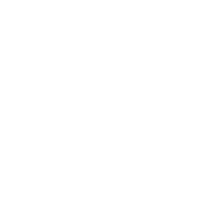 CMS構築、WordPress開発